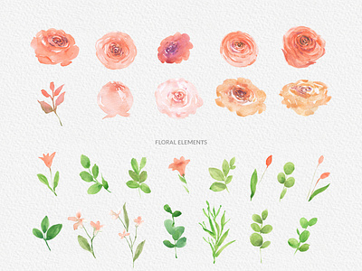 Day Light Handpainted Watercolor Flower Clipart | PNG