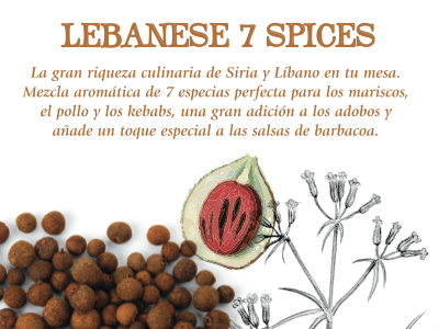 Spices Label food illustration label spices