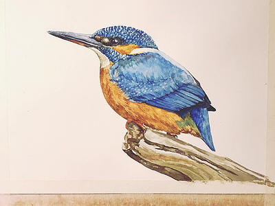 Bird watercolour
