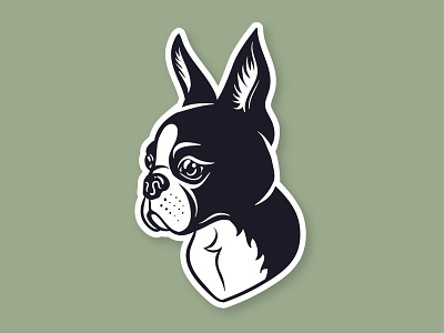 Boston Terrier animal animal logo art artwork icon illustration illustrator vector