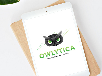 OWLYTICA Logo Concept brand identity branding branding design geometric icon illustration illustrator logo typography vector