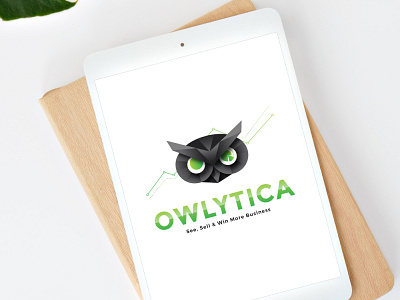 OWLYTICA Logo Concept