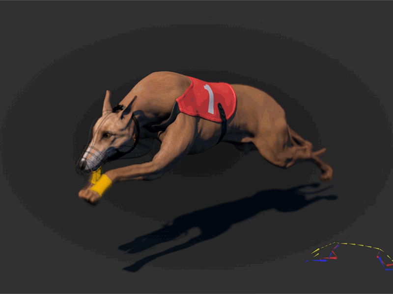 Race dog rig dog greyhound race rig