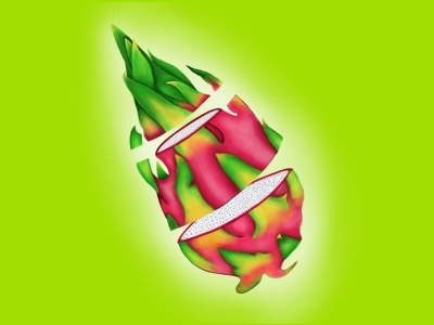 Dragon Fruit Burst colour dragonfruit fruit illustration