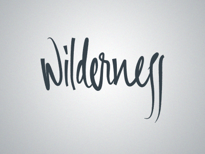Wilderness Lettering hand lettering lettering script typography wilderness