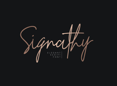 Signathy signature script font branding design script font