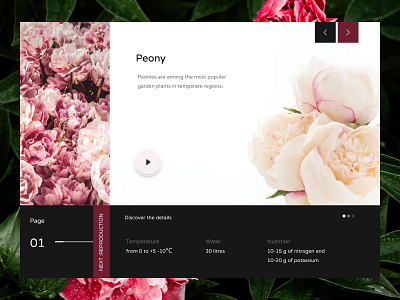 Peony Plant app app design daily daily ui design e commerce shop peony plant ui ux webdesign