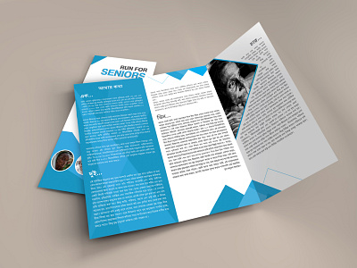 Brochure Design branding brochure design flyer poster print design