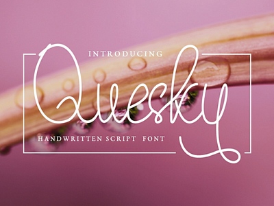 Quesky Font - Handwritten Script Font blogging font branding calligraphy font font awesome font design free font handlettering handwritten handwritten font handwritting illustration monoline script script font script modern font typeface typograhpy web