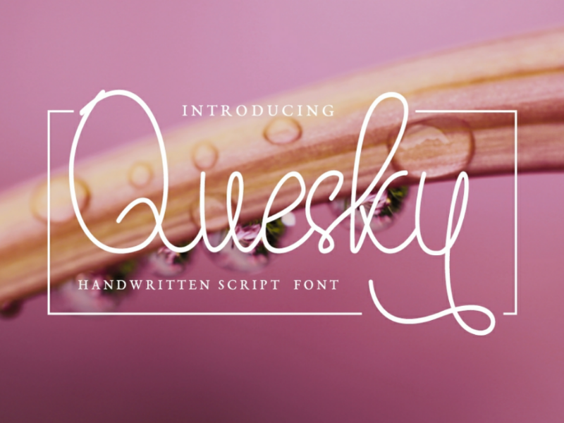 Quesky Font - Handwritten Script Font web multilingual typeface typograhpy calligraphy script modern font script font script illustration handlettering handwritting handwritten font handwritten blogging font branding free font font awesome font design font