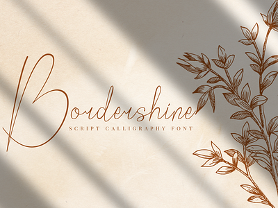 Bordershine - Script Calligraphy Font branding calligraphy elegant font font awesome font design fonts free font handlettering handmade handwritten handwritting logo modern script font signature stylish typeface typograhpy wedding