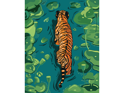 Malayan Tiger male walk in water 🐯🐅🍀🍀 animal art asia background body carnivore cartoon cat character design exotic illustration like mascot design panther park tiger tigers vector wild