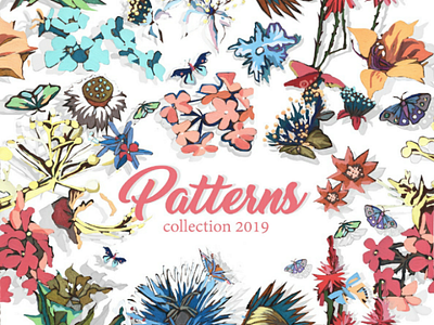 Pattern collection 2018-2019