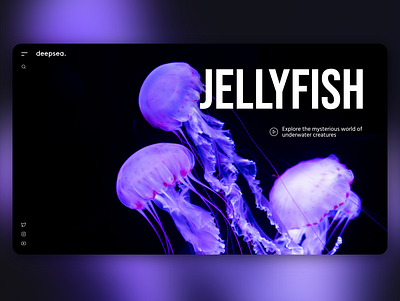 DeepSea Website Landing Page UI & UX Concept concept design jellyfish ui ui design uidesign uiux uiux design uiuxdesign ux web webdesign website