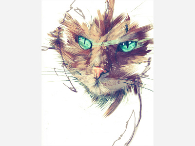 Emerald Eyes cat drawing illustration painting pencil