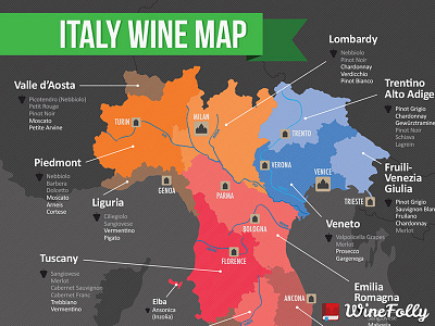 Italian Wine Regions Excerpt infographic map vector wine