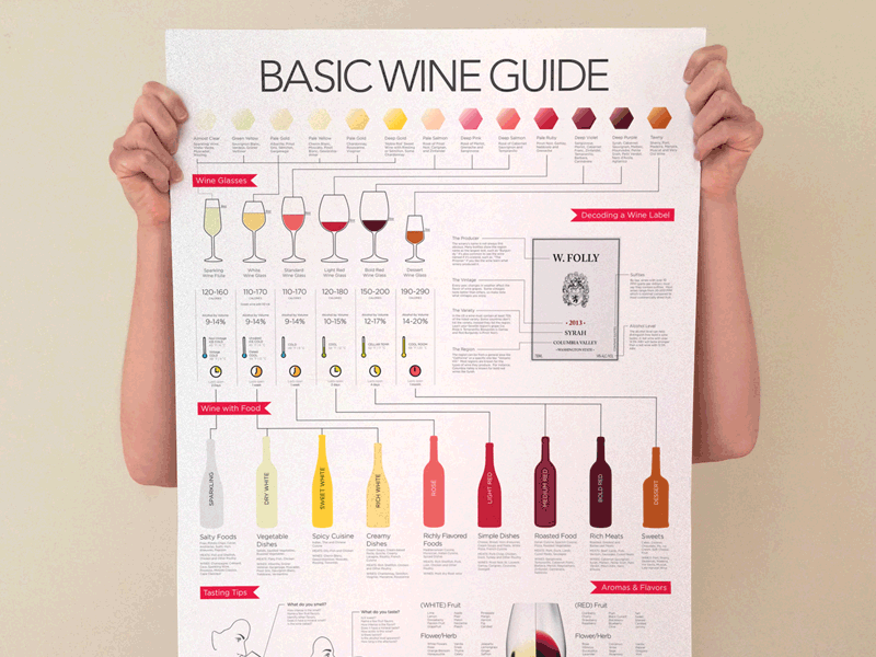 Wine Guide Poster by Madeline Puckette on Dribbble