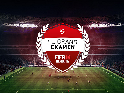 Fifa 14 Academy - Badge academy badge branding fifa fifa14 football soccer