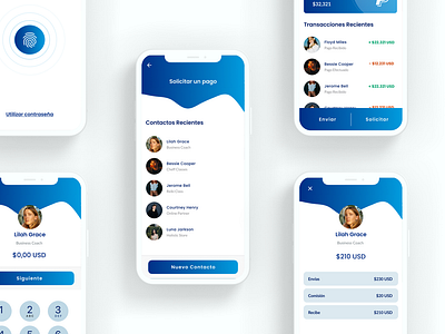 Paypal Redesign