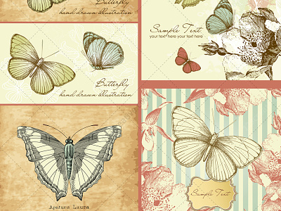 Vintage butterfly vector illustrations