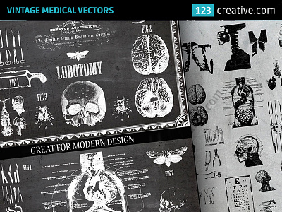 Vintage Medical Vectors - Skulls, Spooky Chalkboard Designs