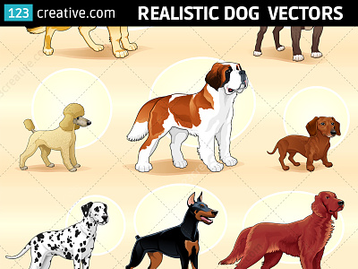 Realistic dog vector pack - Dalmatian, Dobermann, Poodle animal vector graphics dalmatian dog vector dog vector art dog vector design dog vector illustration dog vector pack pitbull dog vector poodle dog vector realistic dog vectors