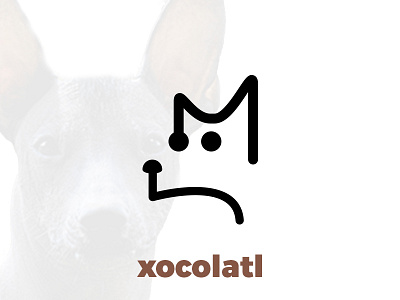 Xoloitzcuintle