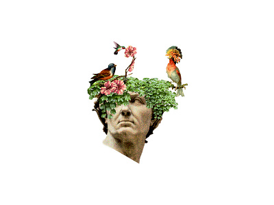 Collage Julio Cesar animal art artcollage bird collage design illustration juliocesar nature photoshop surrealism white