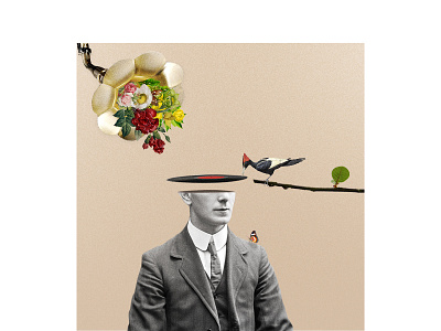 Mr.Vinil artcollage bird collage illustration minimal nature photoshop poster viniil vintage