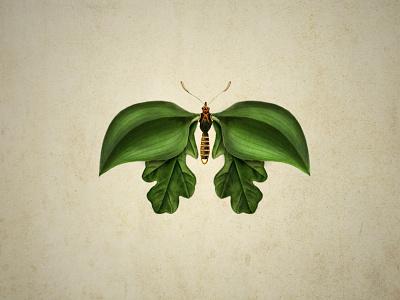 Goldsect collage design dribbble gold illustration insect inspiration nature plant