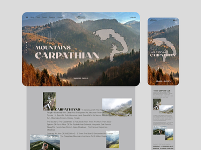Travel website clean color concept design dribbble mountain mountains portfolio tours trip web webdesign
