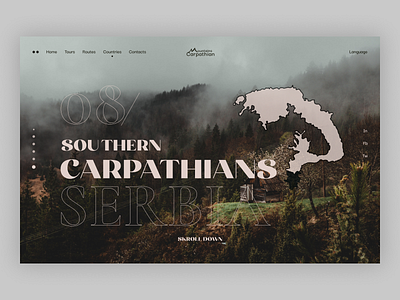 Travel website clean color design dribbble minimal portfolio web webdesign