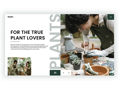 PlantiCo - Plants Shop Main Screen clean color design dribbble home plants inspiration plants plants store portfolio store ui ui design uiux ux design web webdesign