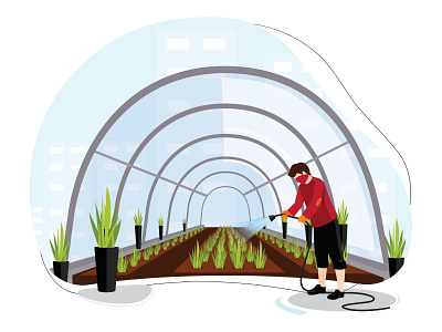 Man watering a box planter on the garden