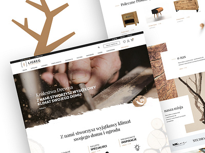 LigReg www design ecommerce logo ui ux web web design webdesign