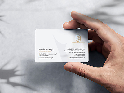 Reductor Capital Bussiness Card bussines card dtp identity identity branding print visual identity