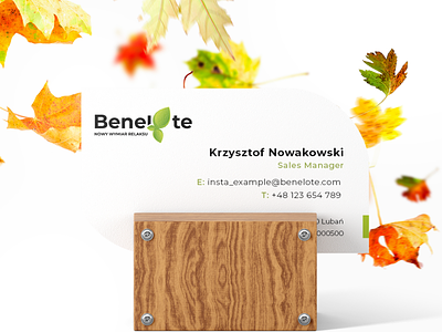 Benelote - Bussines Card brand and identity brand system branding bussines card design identity visual identity