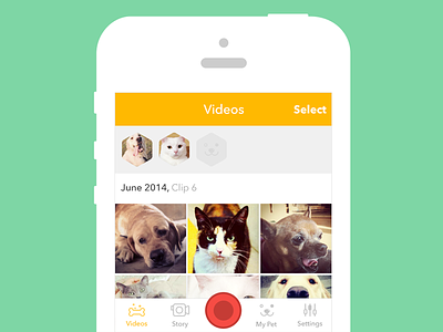 Launch Screen app design feed flat ios iphone mobile pet screen ui ux video