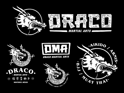 Draco Martial Arts badge brand assets brand build brand elements branding design dojo draco japan lockups martial arts mma