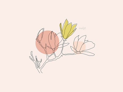 Flower and Botanical one line art illustration