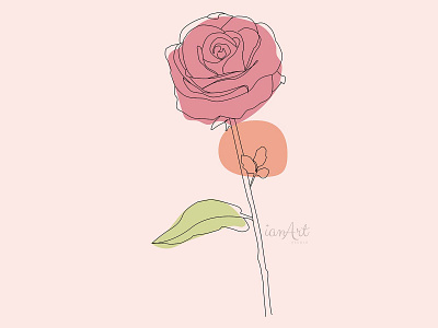 Rose one line art illustration