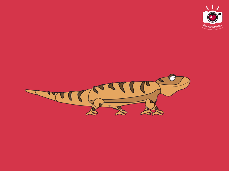 Lizard | Walk cycle 3d animation branding graphic design logo motion graphics ui