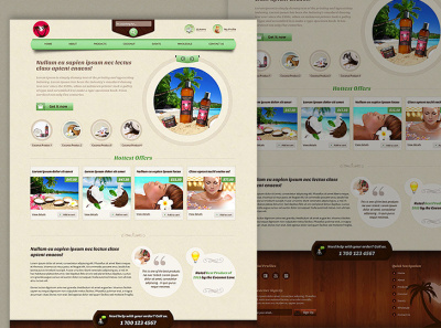 Coconut Love web design wordpress design