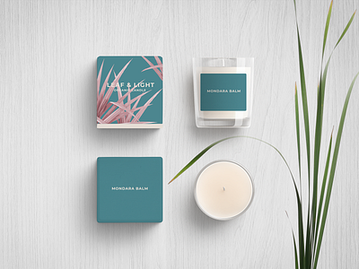 LEAF & LIGHT | PACKAGING DESIGN art direction artwork box design branding candle packaging colour colour palette design digital illustration graphic design packaging packaging design print visual identity