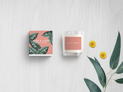 LEAF & LIGHT | PACKAGING DESIGN