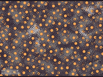 Black Chrysanthemum illustration，design