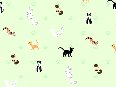 Cats cats design illustration