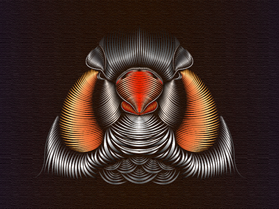 Zebra Finch bird finch illustration line work portrait t shirt design vector
