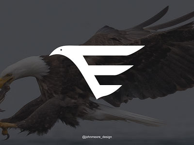 E Eagle branding business company creative graphicdesign logo logos monogram monogram logo monoline