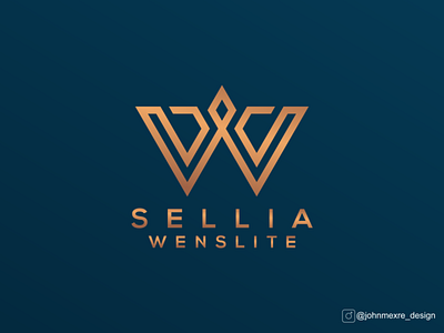 SW branding business company design graphicdesign illustration logo logos monogram